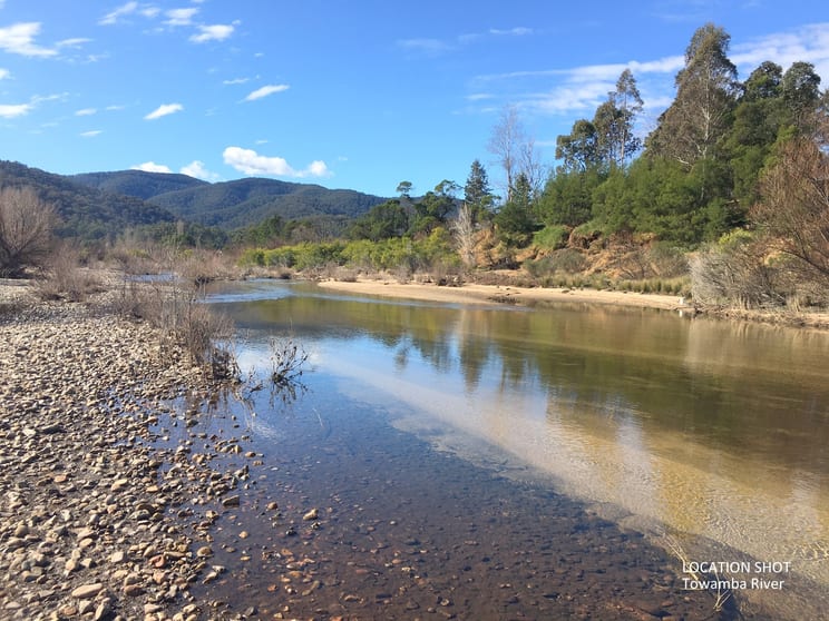 Click to view all images 2499 Towamba Road Towamba NSW 2550 - Image 3