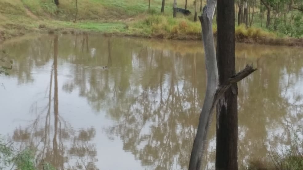 Taromeo QLD 4314 - Image 3