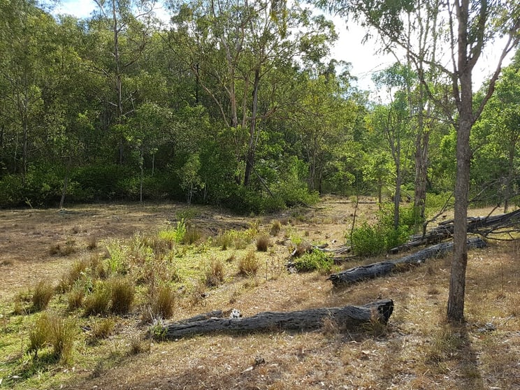 Click to view all images Kooralgin QLD 4402 - Image 3