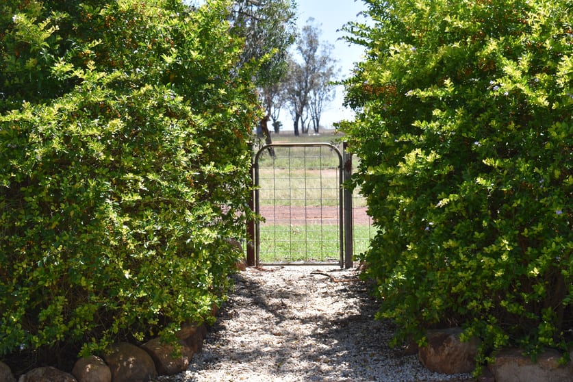"Savannah" 438 Megine Road Roma QLD 4455 - Image 1