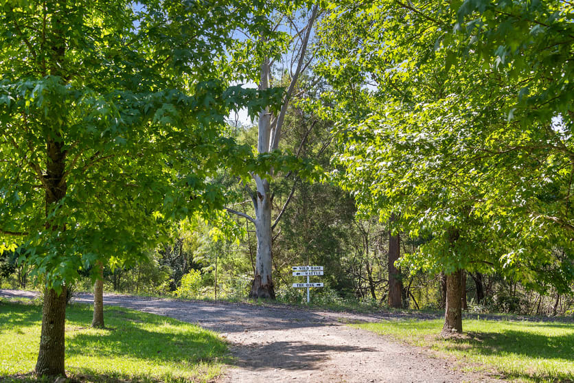 Click to view all images 2255 Moss Vale Rd Road Kangaroo Valley NSW 2577 - Image 3