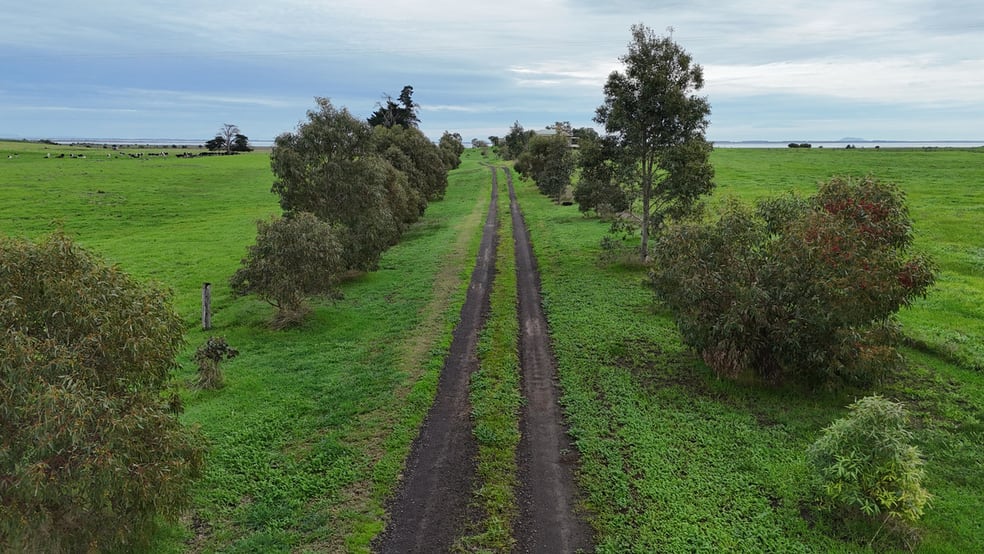 805 South Dreeite Road Dreeite South VIC 3249 - Image 3