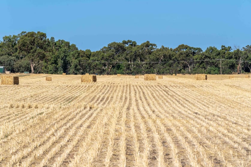96 Odwyer Road Tabilk VIC 3607 - Image 2