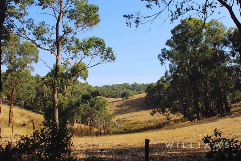 97 Waters Road Mount George SA 5155 - Image 1