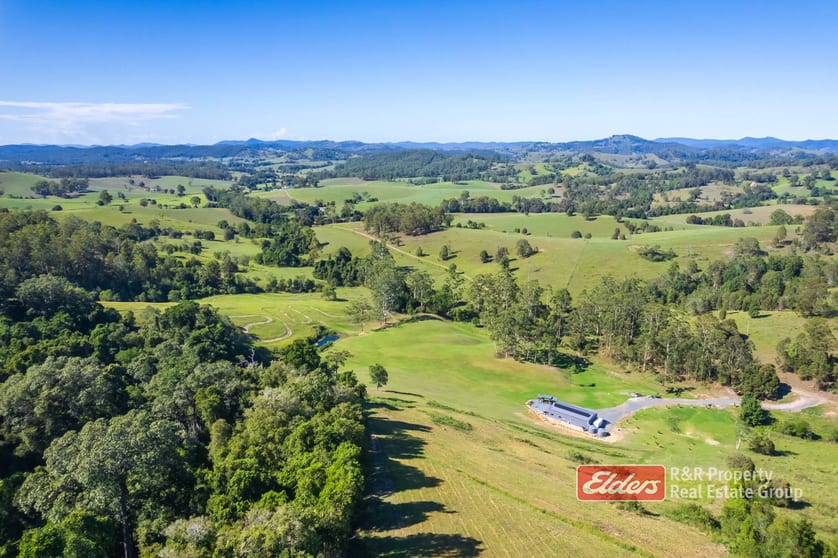 444 Mimi Creek Road Krambach NSW 2429 - Image 2