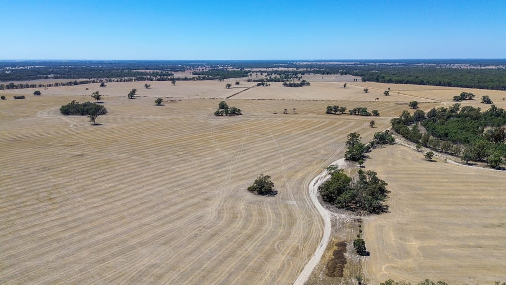 391 Boxdale Road Deniliquin NSW 2710 - Image 2