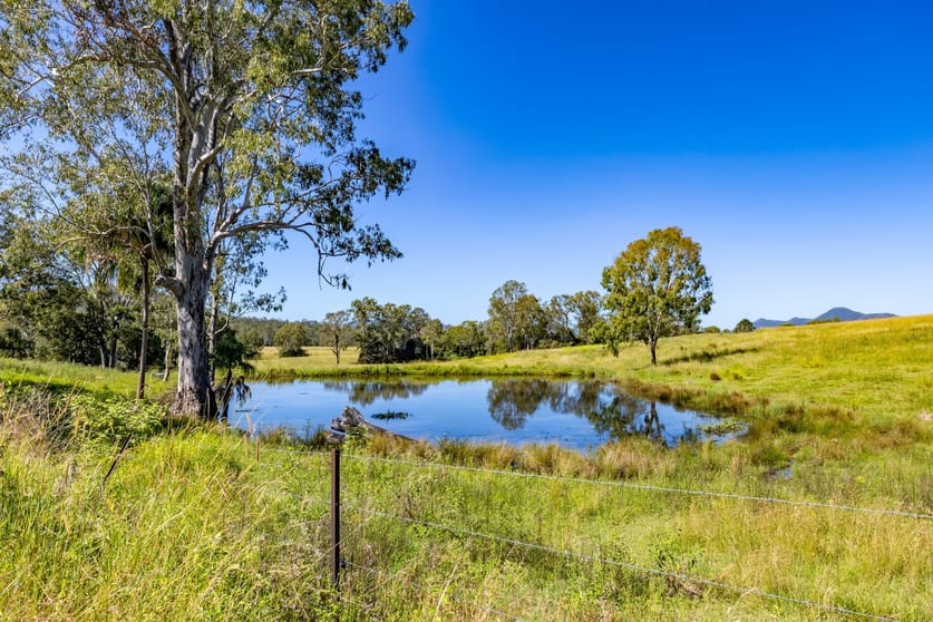 Click to view all images 55 Kewins Road Glastonbury QLD 4570 - Image 1