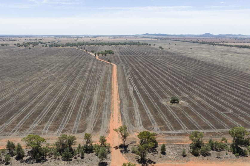 489 West Milby Lane Tullibigeal NSW 2669 - Image 3