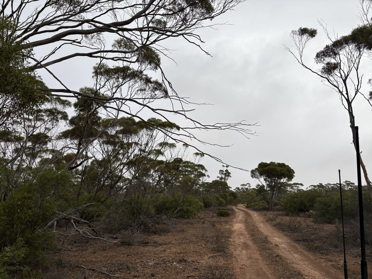 Click to view all images Lot 104 Cant Road Kimba SA 5641 - Image 1