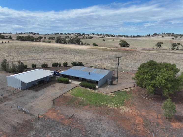 Click to view all images 1274 Canola Way Marrar NSW 2652 - Image 2