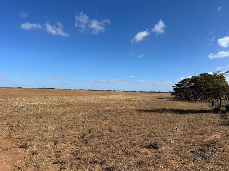 Lot 1 Schulzs Road Black Hill SA 5353 - Image 3