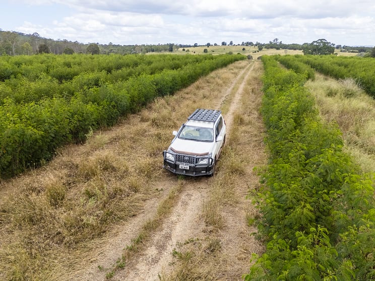 Click to view all images 242 Reidy's Road Wooroonden QLD 4605 - Image 2