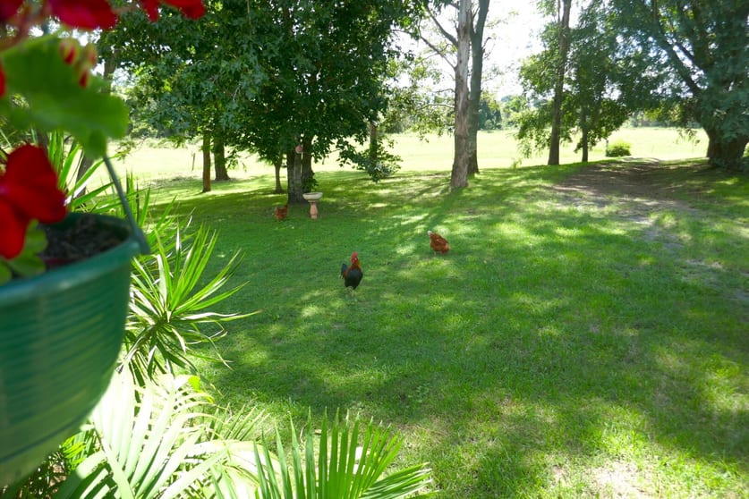 Click to view all images 495 Upper Stratheden Road Kyogle NSW 2474 - Image 3