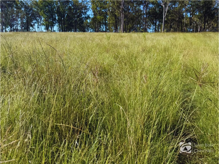 Click to view all images “Gedley et. al.” West Boondooma Road Durong QLD 4610 - Image 1
