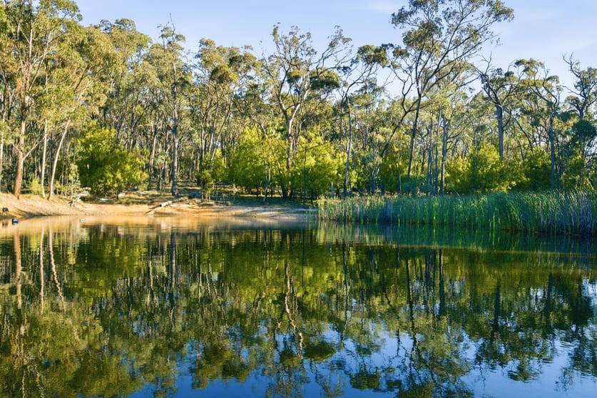 Click to view all images 172 Johnstons Road Barjarg VIC 3723 - Image 1