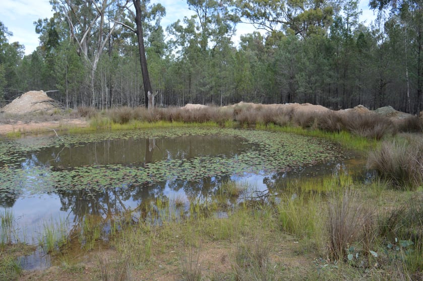 Click to view all images Lot 17 Tin Hut Road Inglewood QLD 4387 - Image 1