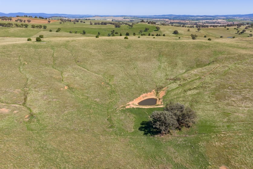 Click to view all images 306 Moola Road Canowindra NSW 2804 - Image 2
