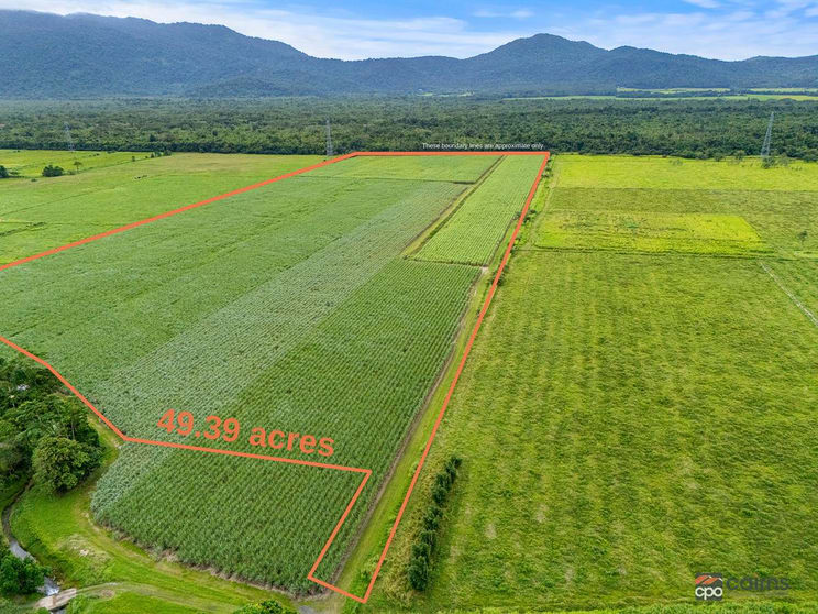 Click to view all images 101 Bruce Highway Bellenden Ker QLD 4871 - Image 2