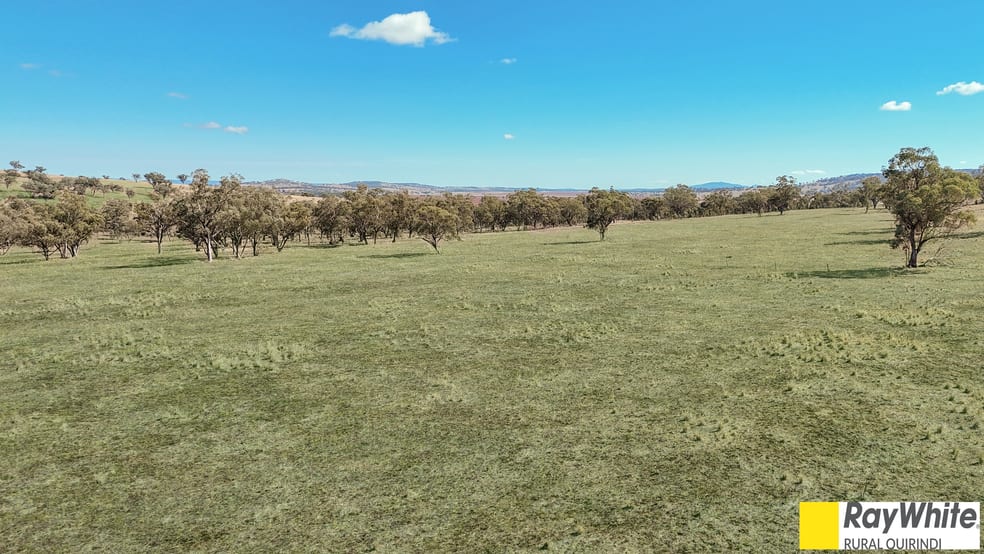 Click to view all images 981 Merriwa Road, WARRAH Willow Tree NSW 2339 - Image 3