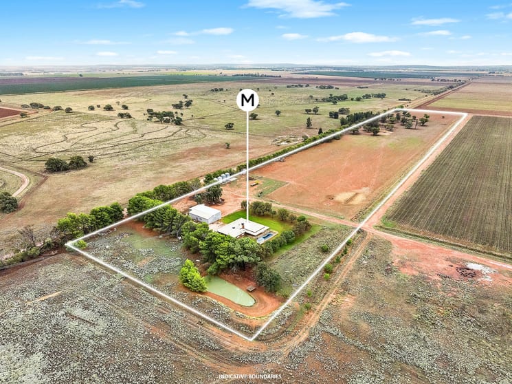 Click to view all images 456 Boundary Road Leeton NSW 2705 - Image 2