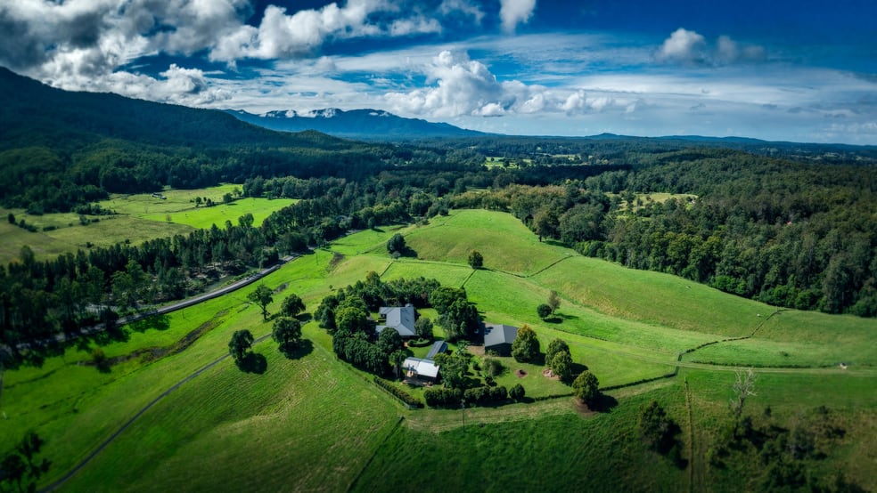 Click to view all images 2165 Waterfall Way Thora NSW 2454 - Image 3