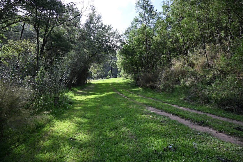 Upper Yango Ck Rd Laguna NSW 2325 - Image 3