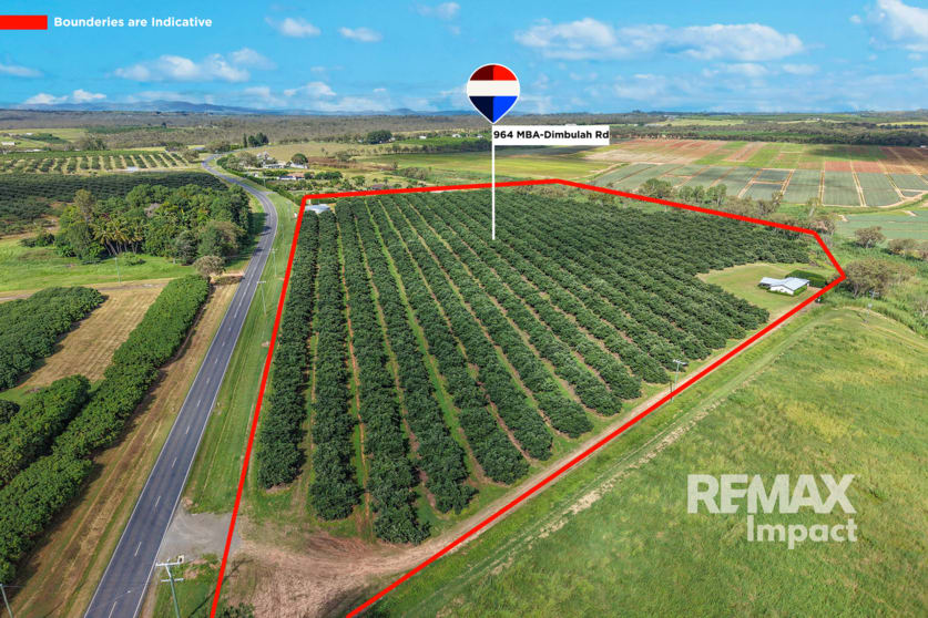 Click to view all images 964 Mareeba-Dimbulah Rd Paddys Green QLD 4880 - Image 1
