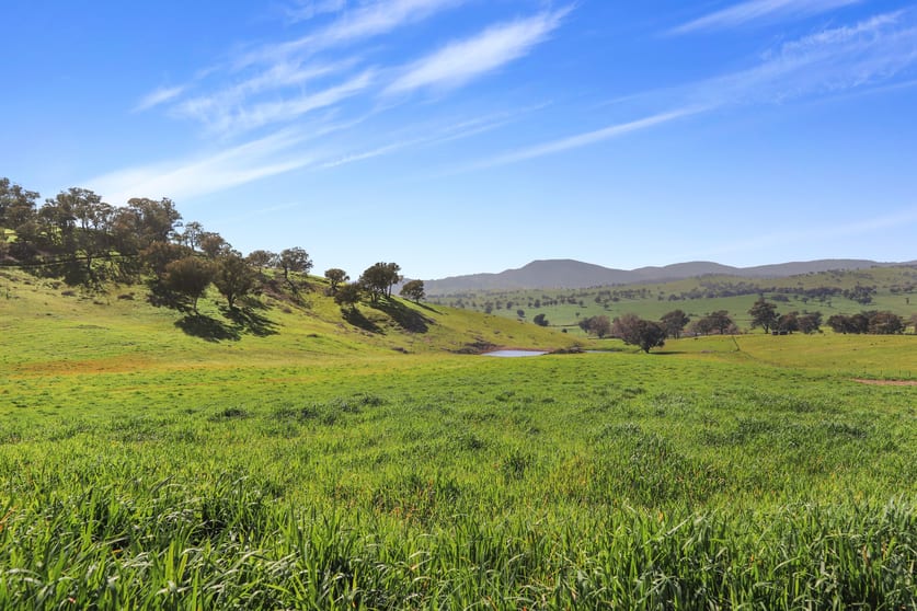 Click to view all images Part 1169 Grahamstown Road Adelong NSW 2729 - Image 3