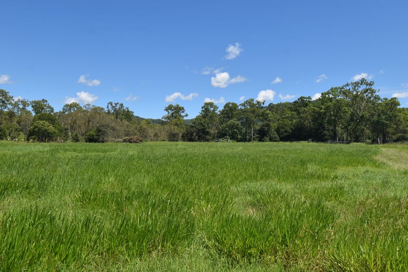1863 Sarina Homebush Road Oakenden QLD 4741 - Image 1