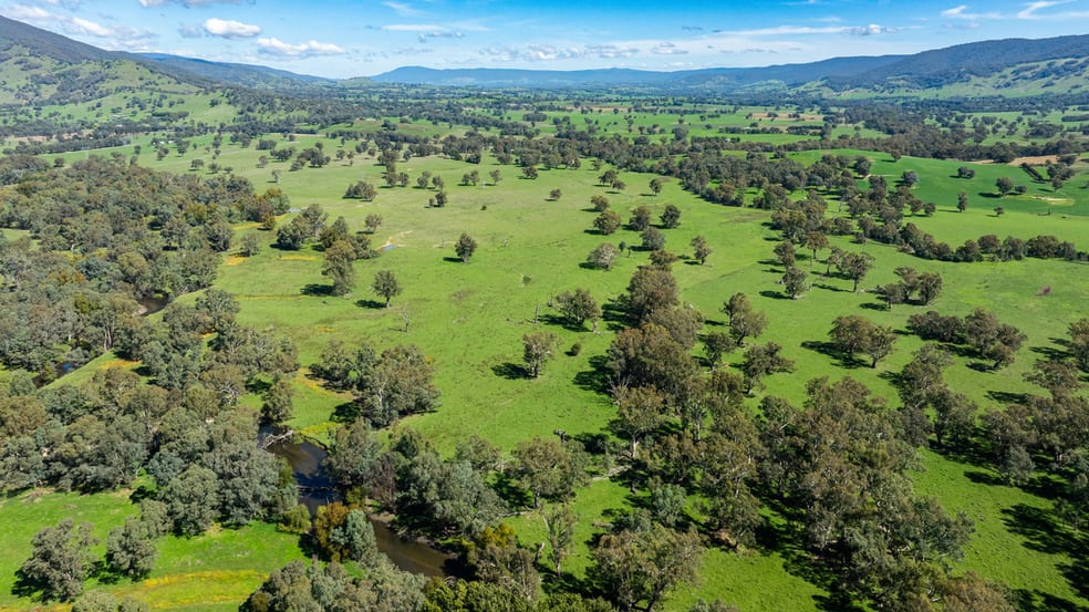 Click to view all images 1007 & 1007A Kiewa Valley Highway Staghorn Flat VIC 3691 - Image 1