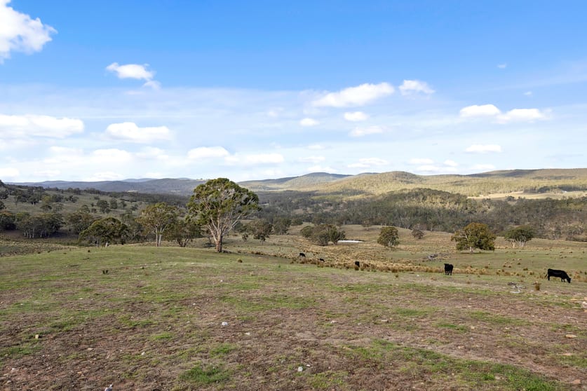 Click to view all images 507 Harolds Cross Road Braidwood NSW 2622 - Image 1