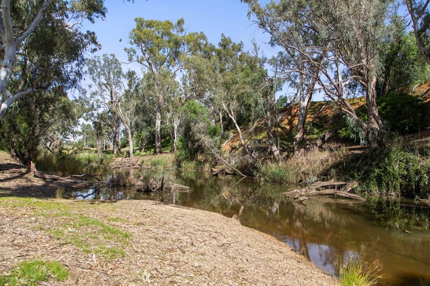 Lot 2 Barnadown-Knowsley Road Muskerry VIC 3557 - Image 3