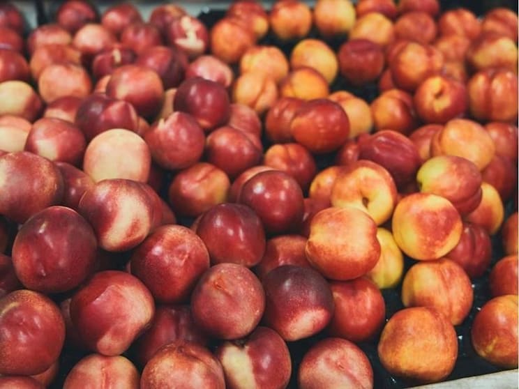 Click to view all images Fruit, Veg & Fresh Produce business for sale in Sydney Region NSW - Image 3