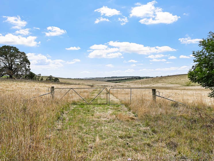 4231 Dartmoor-Hamilton Road Grassdale VIC 3302 - Image 2