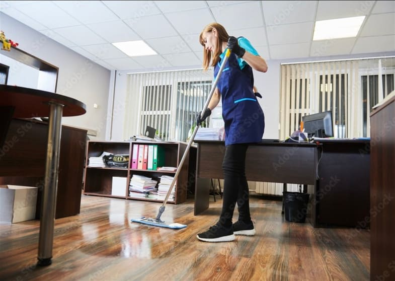 Cleaning Services  business for sale in Palm Beach - Image 2
