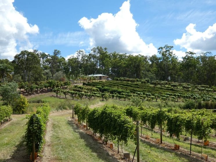 Click to view all images 86 Simpsons Road Bullyard QLD 4671 - Image 2