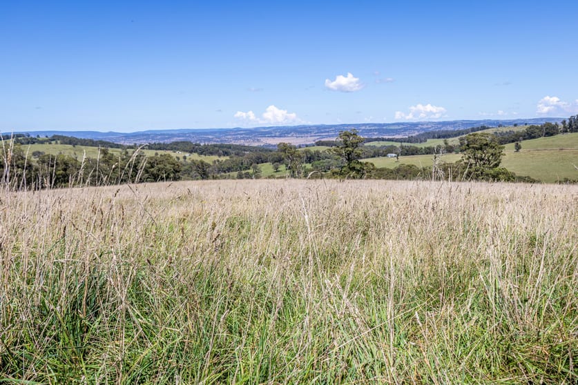 Click to view all images 245 Chinnocks Road Walcha NSW 2354 - Image 1