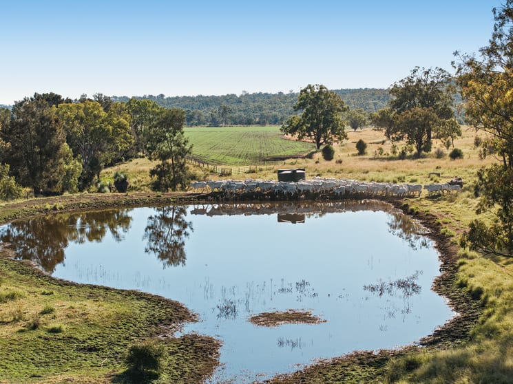 Click to view all images 414 Red Tank Road Boyneside QLD 4610 - Image 3