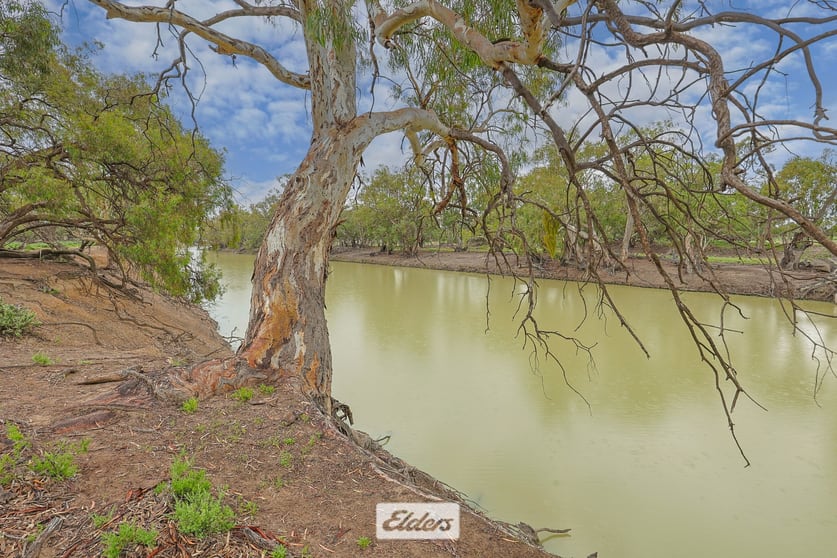 Click to view all images 3 Low Darling Road Wentworth NSW 2648 - Image 1