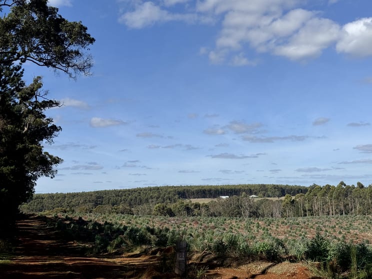 Lot 1 Kim Road (Dingup) Manjimup WA 6258 - Image 2