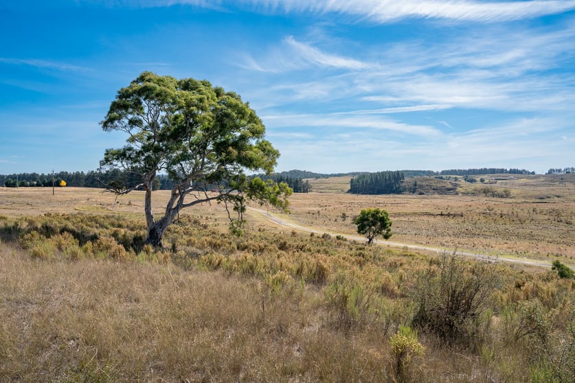 Click to view all images 3098 Oallen Ford Road Windellama via Goulburn NSW 2580 - Image 3