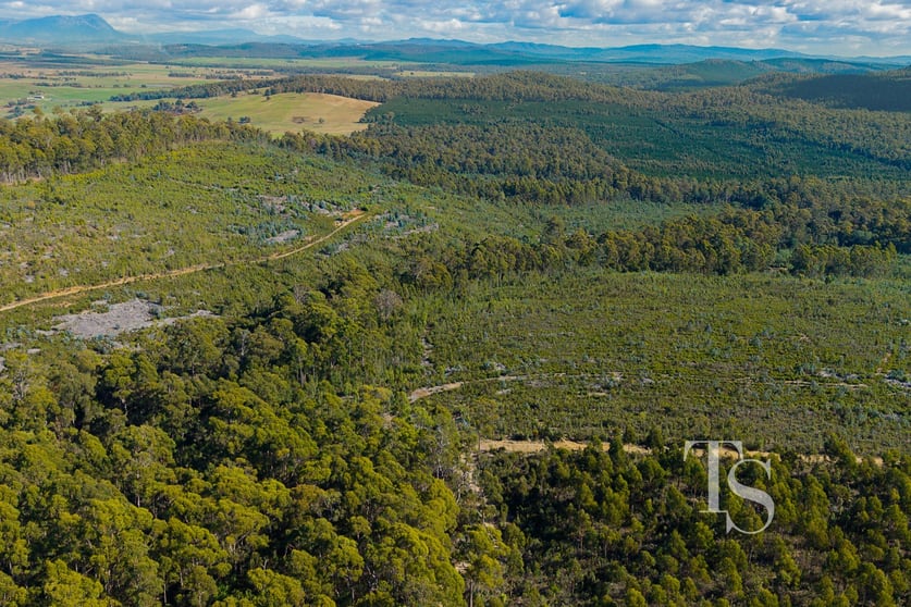 Click to view all images Lot 1 Bradys Creek Road Parkham TAS 7304 - Image 2