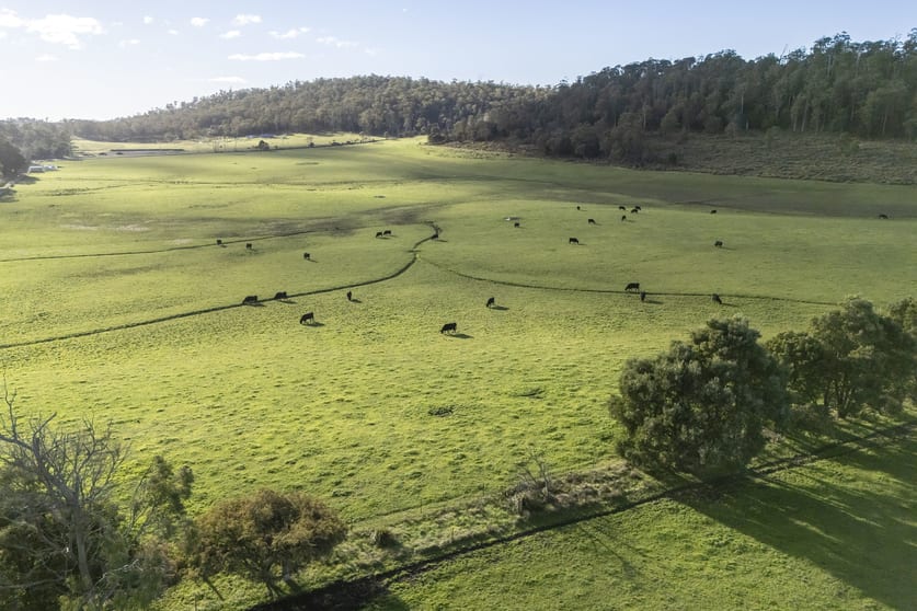 Click to view all images 290 Batman Highway Sidmouth TAS 7270 - Image 2