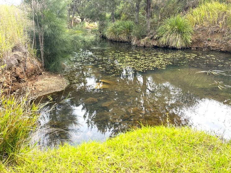 Lot 690/ McCafferty Road Merritts Creek QLD 4352 - Image 2