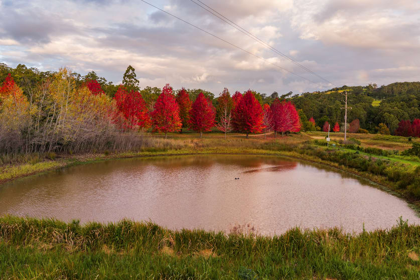 Click to view all images "Overberg" 3697 Esk Hampton Road Ravensbourne QLD 4352 - Image 3