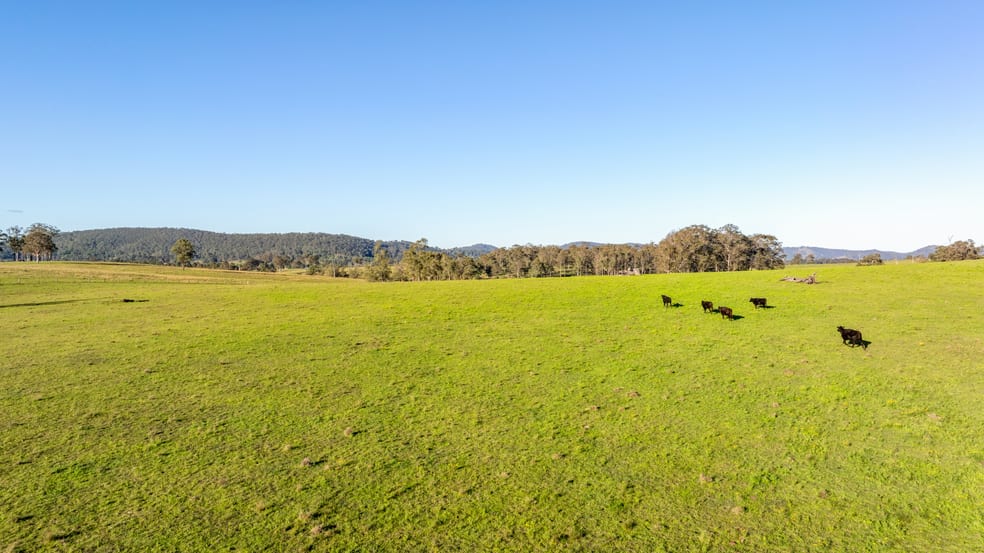 3949 Clarence Town Road Dungog NSW 2420 - Image 2