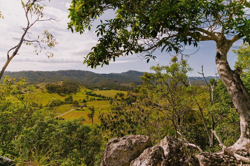 298 Cainbable Creek Road Cainbable QLD 4285 - Image 3