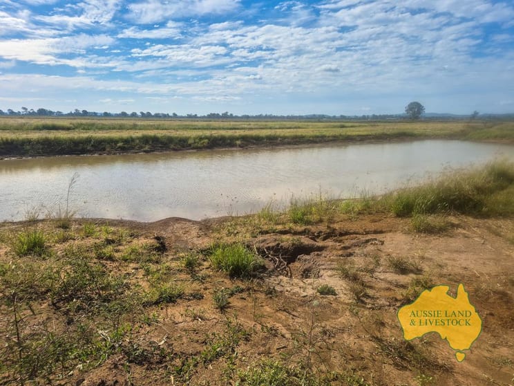 . Byee Road Wheatlands QLD 4606 - Image 3
