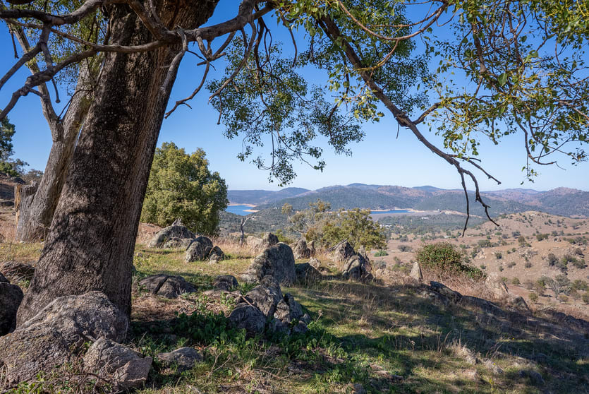 2656 Reg Hailstone Way Wyangala NSW 2808 - Image 2