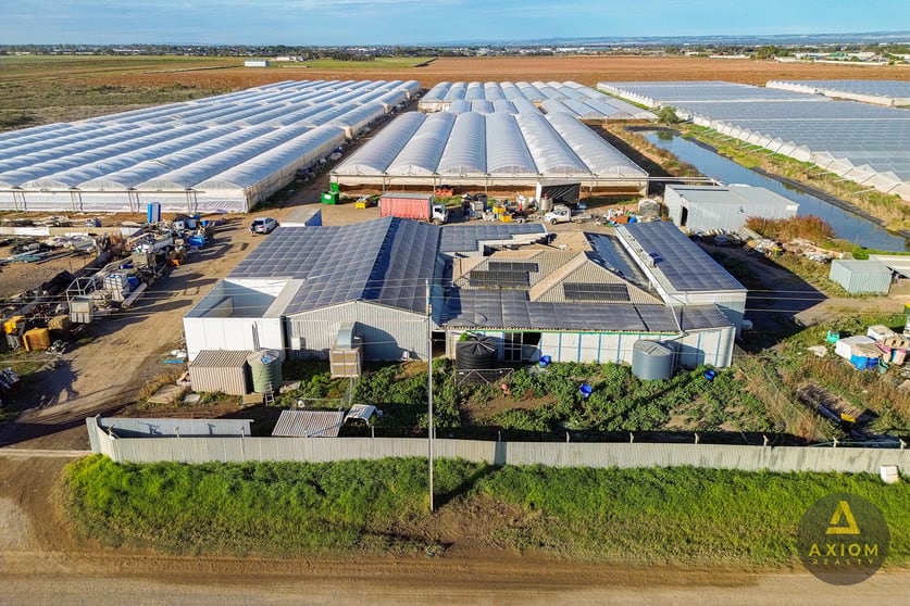 384 Tozer Road Buckland Park SA 5120 - Image 1